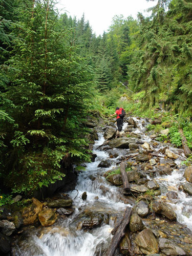 Foto Spre cascada inferioara (c) Petru Goja